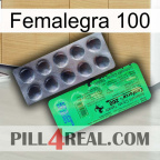 Femalegra 100 new04